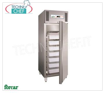 Forcar - Armadio Frigo per Pesce Fresco, lt.507, Statico, Tem.-5°/+2°C, Classe D, mod.G-GN600FISH