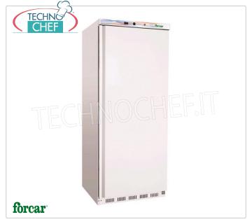 Forcar - Armadio Congelatore-Freezer, lt.555, Statico con PIANI Grigliati EVAPORANTI  FISSI, Temp.-18°/-22°, Classe B, mod.G-EF600
