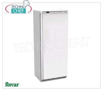 Forcar - Armadio Congelatore-Freezer, lt.641, Ventilato, Temp.-18°/-22°C, Classe C, mod.G-EF700 Armadio Congelatore-Freezer 1 Porta, Professionale, lt.641, Temp.-18°/-22°C, Ventilato, ECOLOGICO in Classe C, GAS R290, V.230/1, Kw.0,55, Peso 113 Kg, dim.mm.777x730x1895h