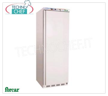 Forcar - Armadio Frigo 1 Porta, lt.350, Statico, Temp.+ 2°/+ 8°C, Classe  C, mod.G-ER400 Armadio Frigorifero 1 Porta, Professionale, struttura esterna in lamiera  bianca, interno in ABS, lt.350, Temp.+2°/+8°C, ECOLOGICO in Classe C, Gas R600a, Statico con ventilatore interno, V.230/1, Kw.0,185, Peso 69 Kg, dim.mm.600x585x1855h