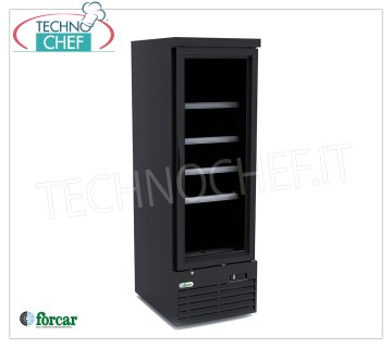 FORCAR - Armadio Congelatore-Freezer 1 Porta Vetro, lt.332, Ventilato, Temp.-18°/-22°C, Classe E